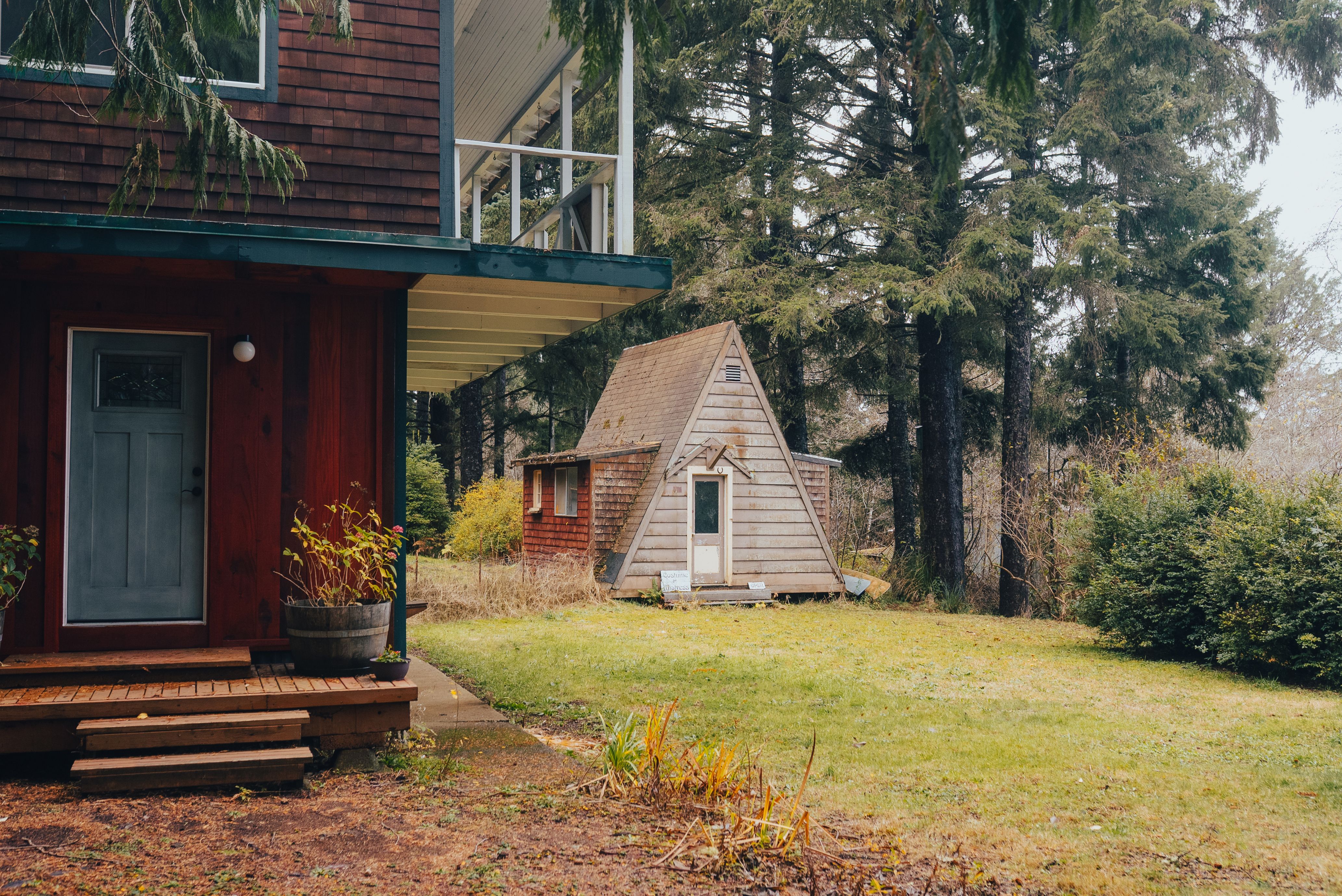 Scenic%20view%20of%20rustic%20cabins%20nestled%20in%20a%20forest%20setting Scenic view of rustic cabins nestled in a forest setting